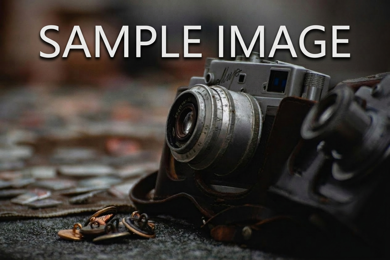 Lightroom Mobile 편집 전 원본 사진